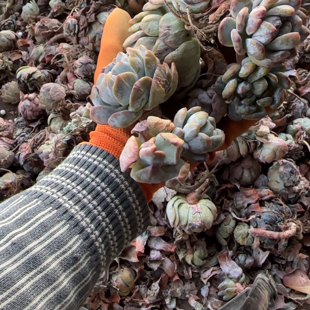 天***空不说这些我不信啊哈你