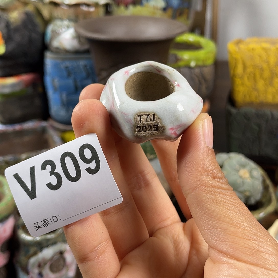 默认微次  限时福利 坛子姐花盆