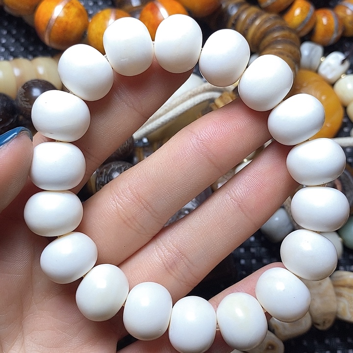 其他驼骨其他配饰