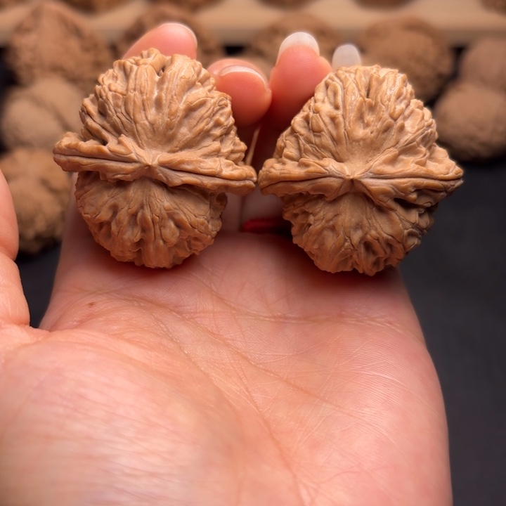 文玩核桃把件38白狮子