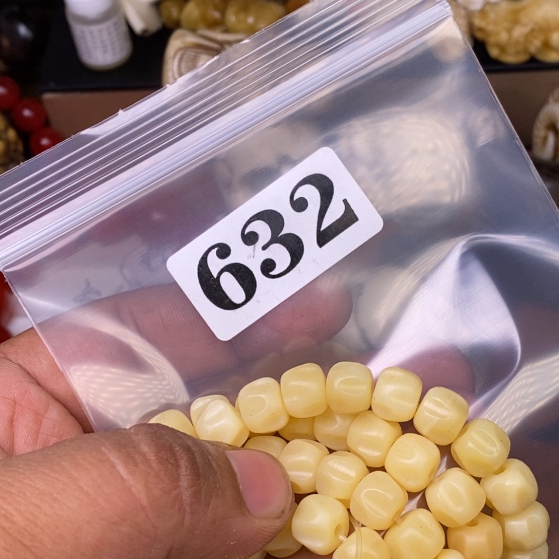 其他驼骨人工样子