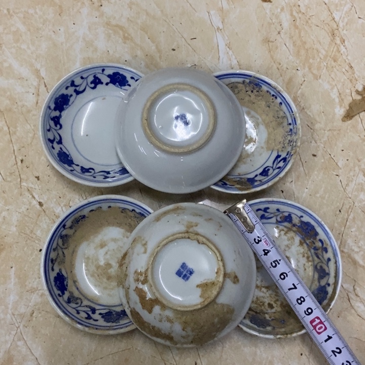 陶6个10厘米芙蓉味碟