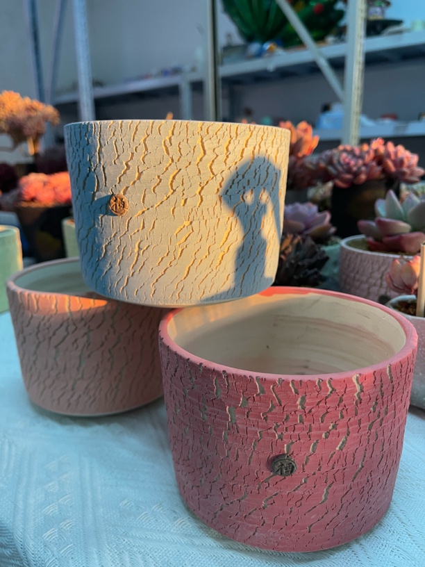 木栖花盆（大爆裂盆）一物一拍