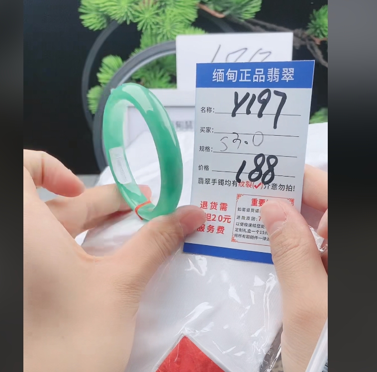 Y197缅甸翡翠处理手镯【一物一证】实物以直播间为准带证书发货