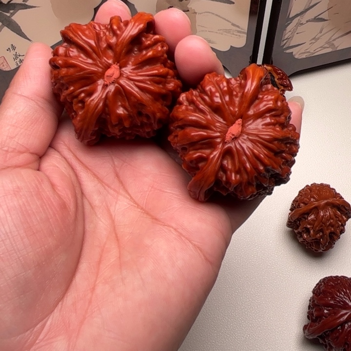 龙***哥48尺         白狮子