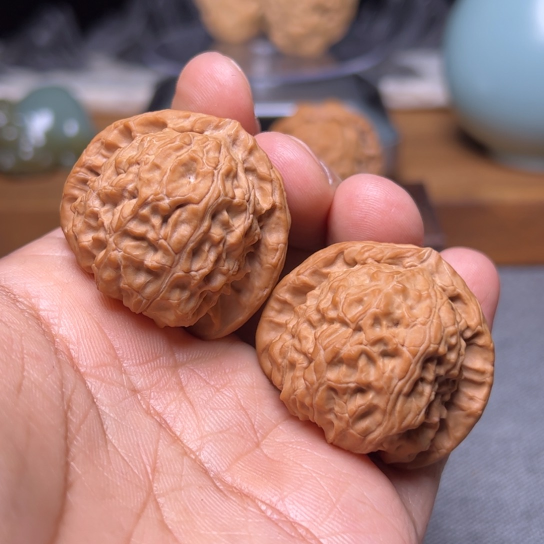 文玩核桃把件38白狮子