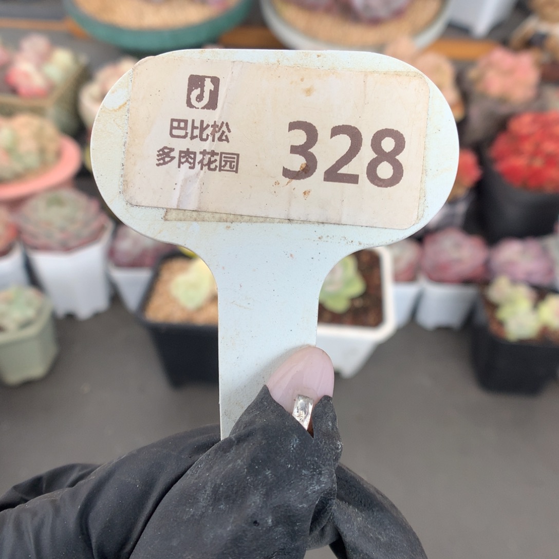 328 冰玉石化盲盒拍