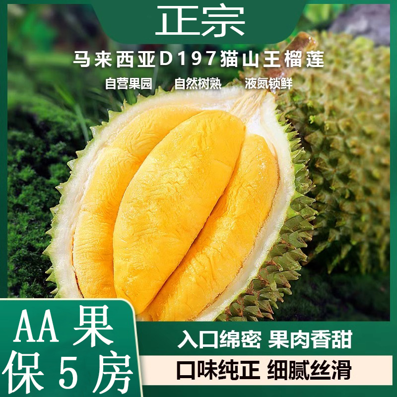 【帝小二直播】马来西亚猫山王D197榴莲液氮单A果保4房 3-7斤 顺丰