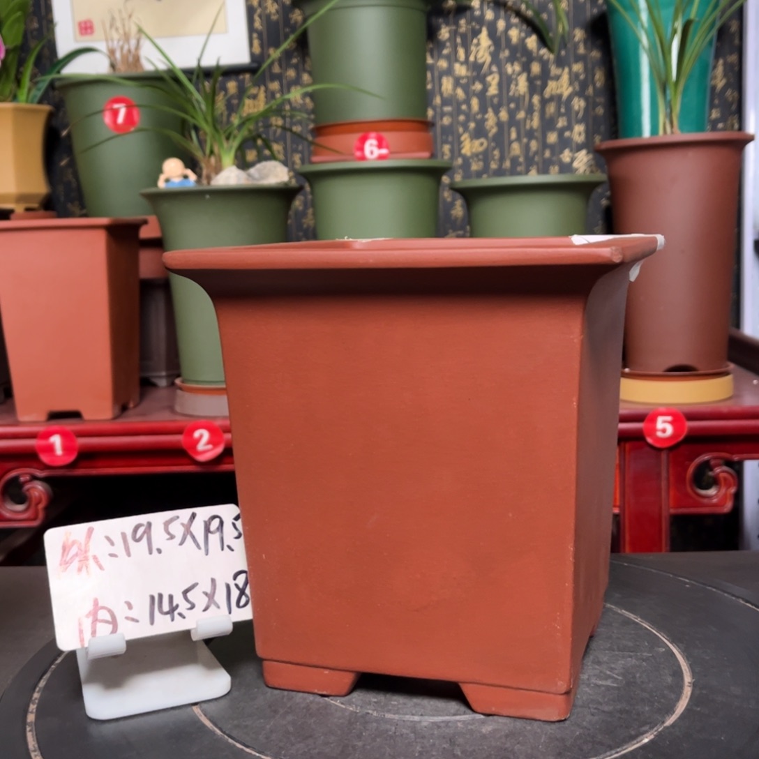 紫砂花盆紫砂花盆