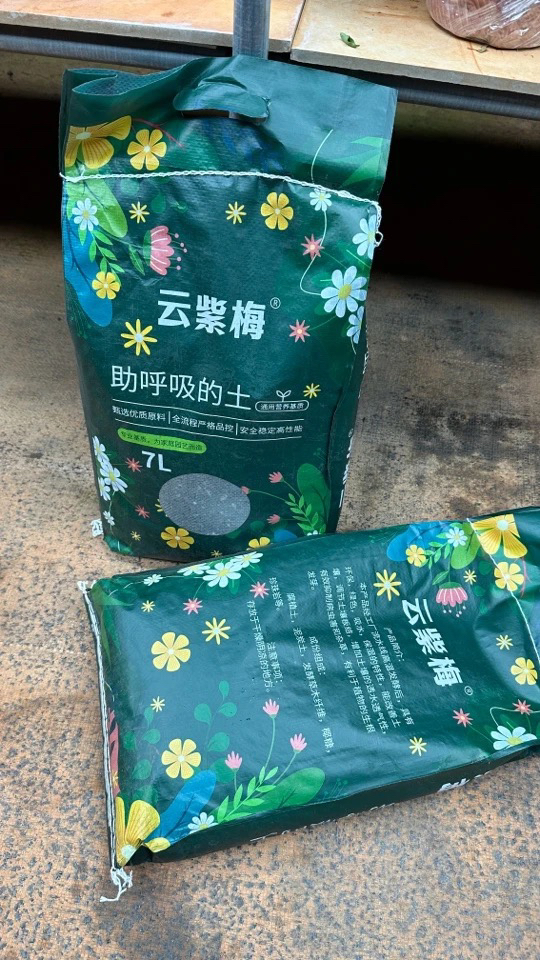 三角梅营养土会呼吸的土