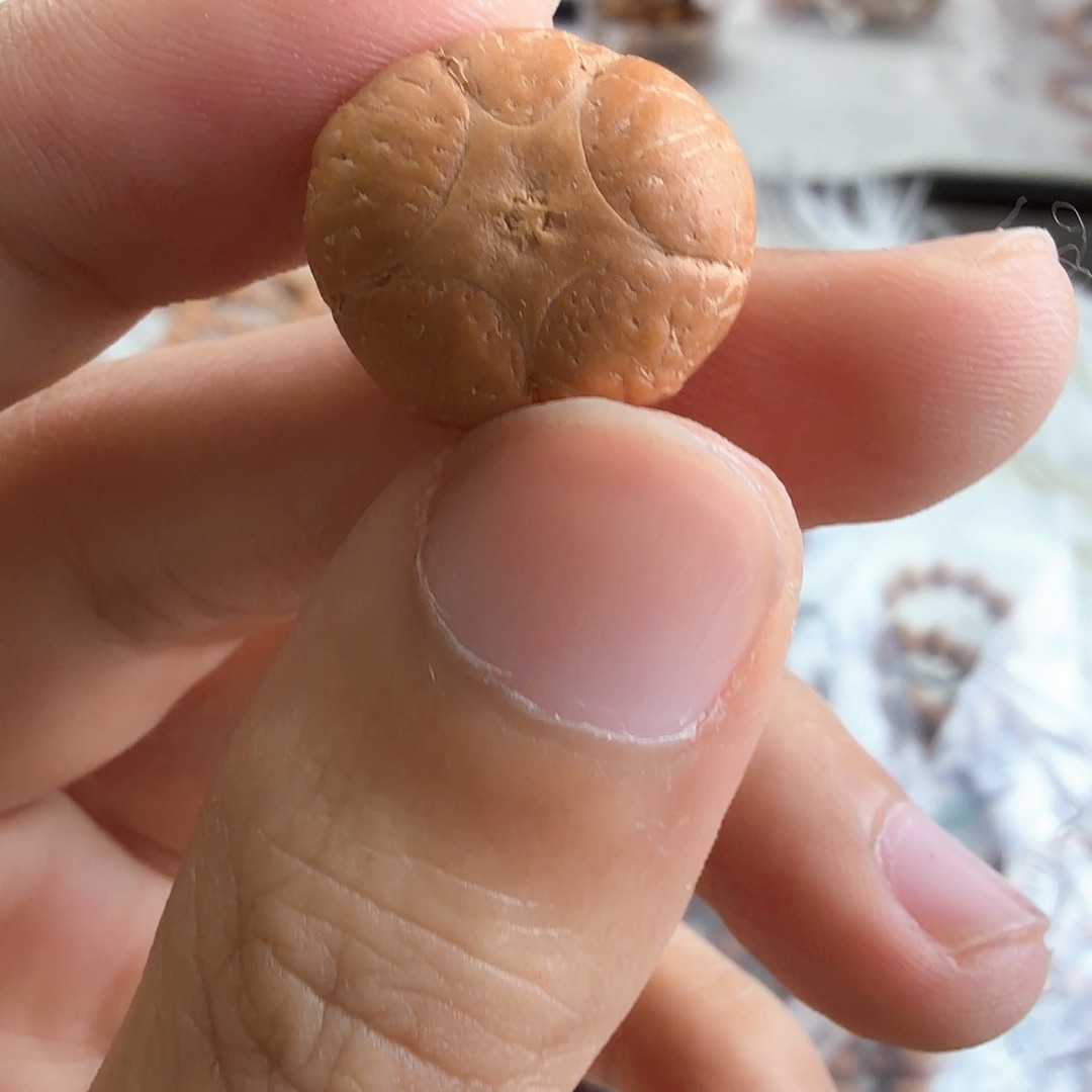 爱****吊坠凤眼菩提4593