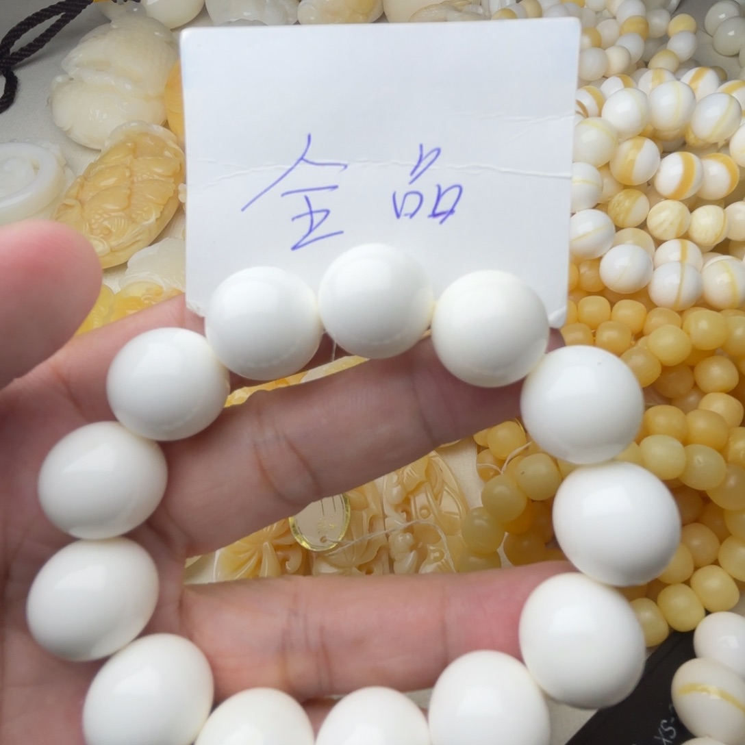 非金属贝壳C****n天然贝壳