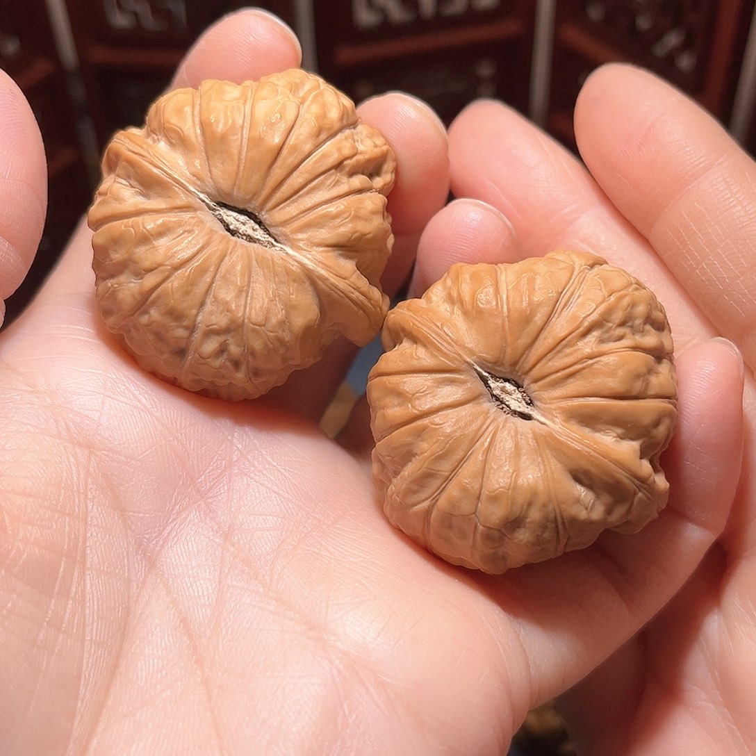 41南瓜墩，精品……