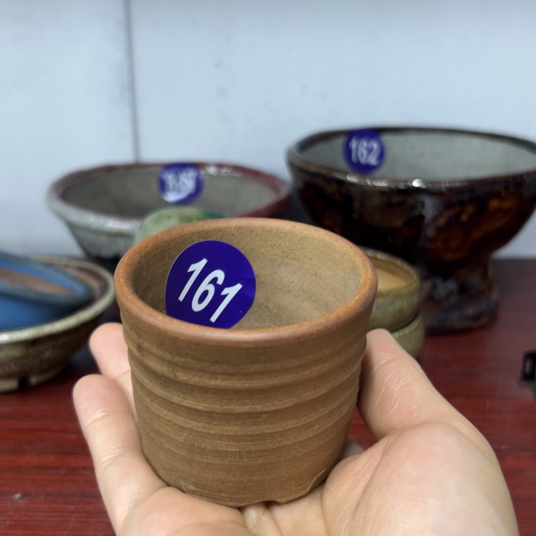 红陶啊*红红火火过大年161