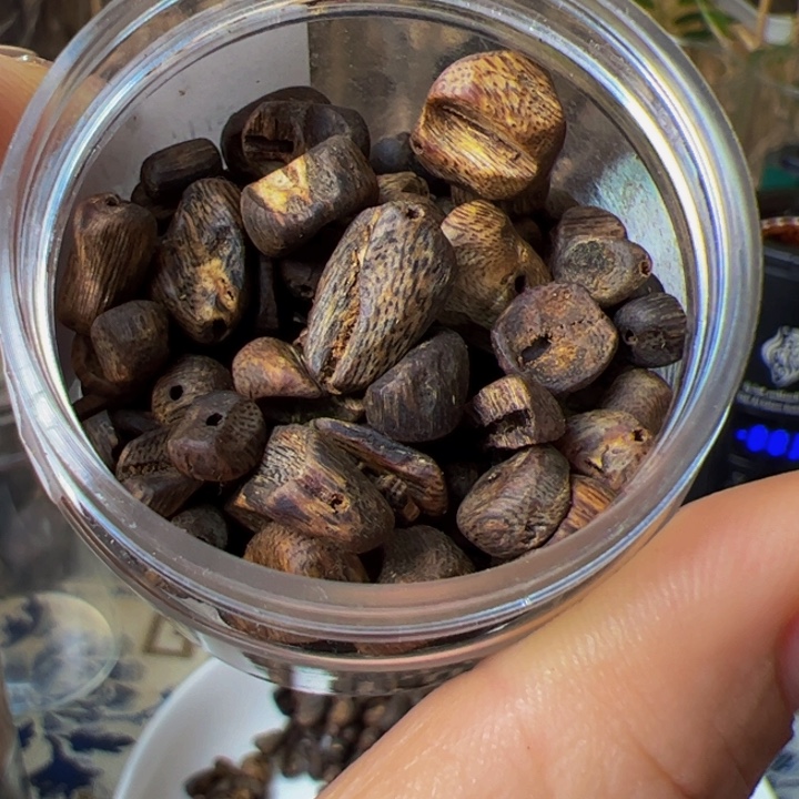 沉香碎屑沉香奇楠留疤高端车珠老料20克