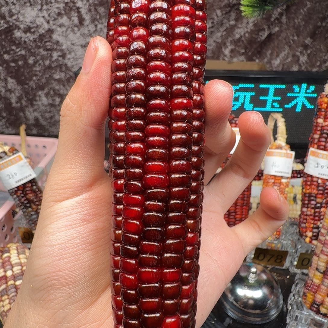 ʚ***然大叶紫檀（黑酸枝木类）