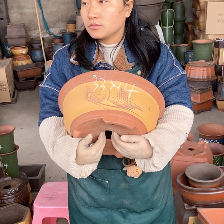 紫砂花盆盆栽花卉苗木种植