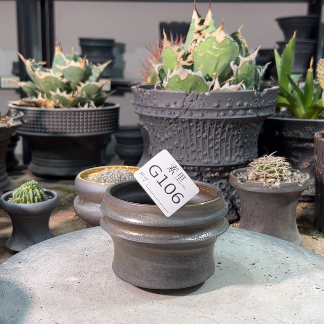 景德镇手工素里内口8.5高7