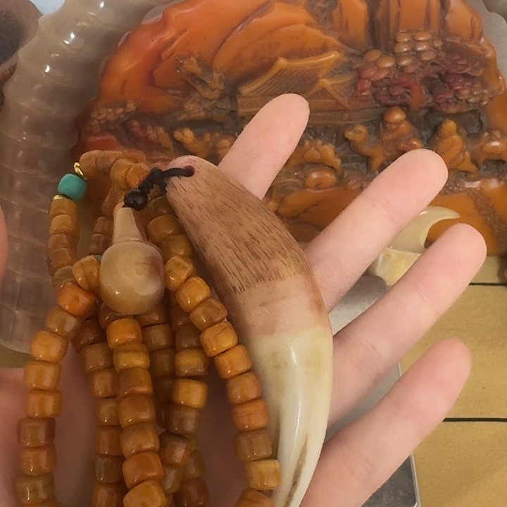 大哥专拍链接一号 