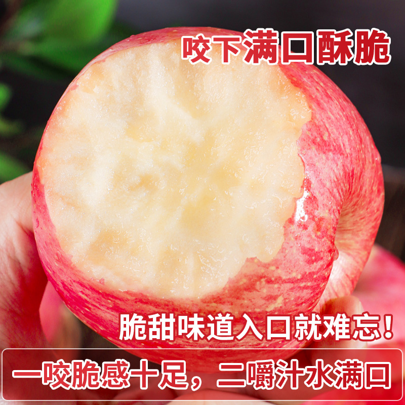 【展源优选】烟台红富士苹果新鲜水果产地直发栖霞苹果现摘现发苹果