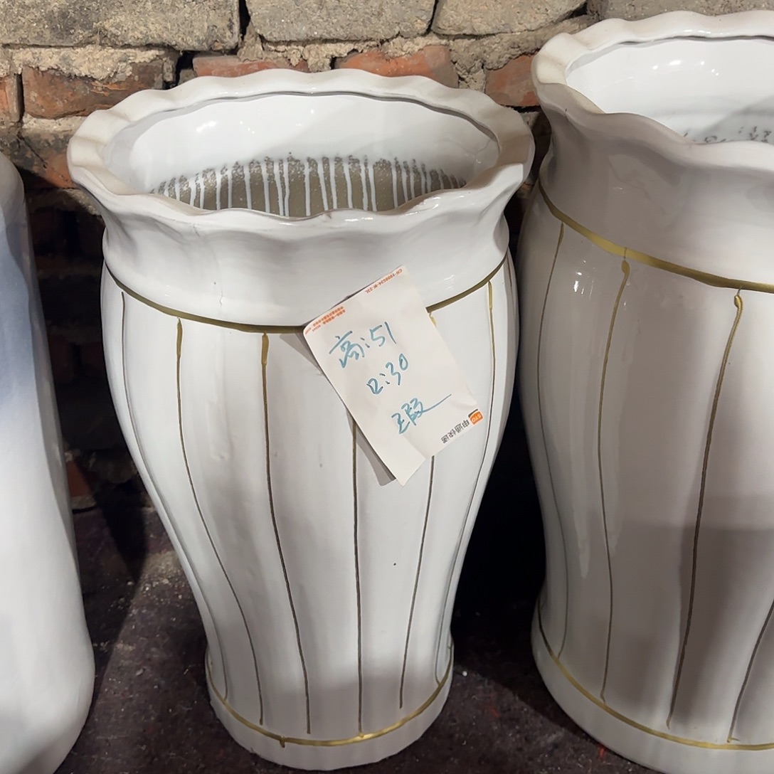 白色金线南瓜高盆小号一个