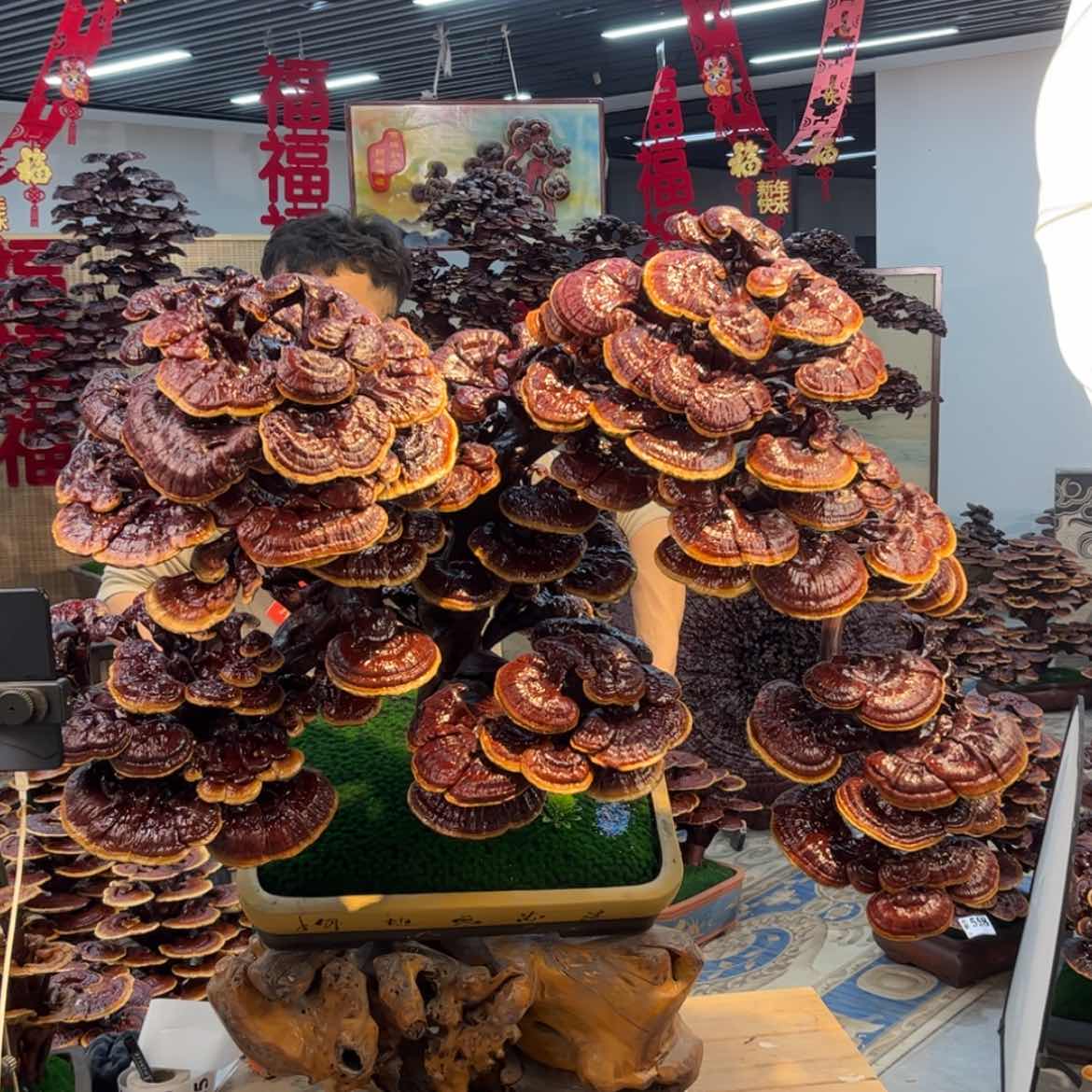 【闪购商品】888888