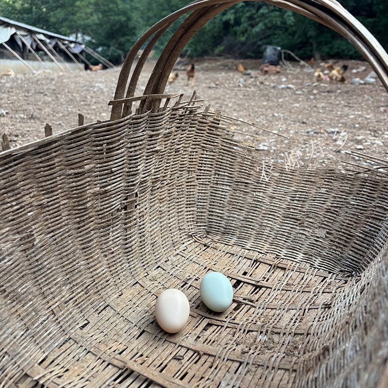 世界长寿之乡散养土鸡蛋60枚新鲜柴鸡蛋溜达鸡蛋源头直发