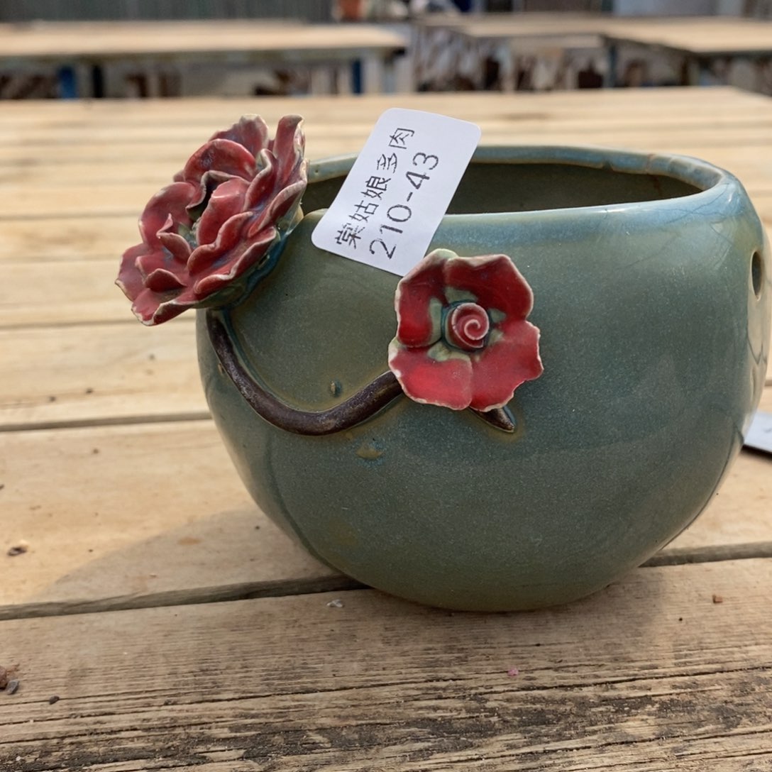 心*?43号多肉盆一个呀