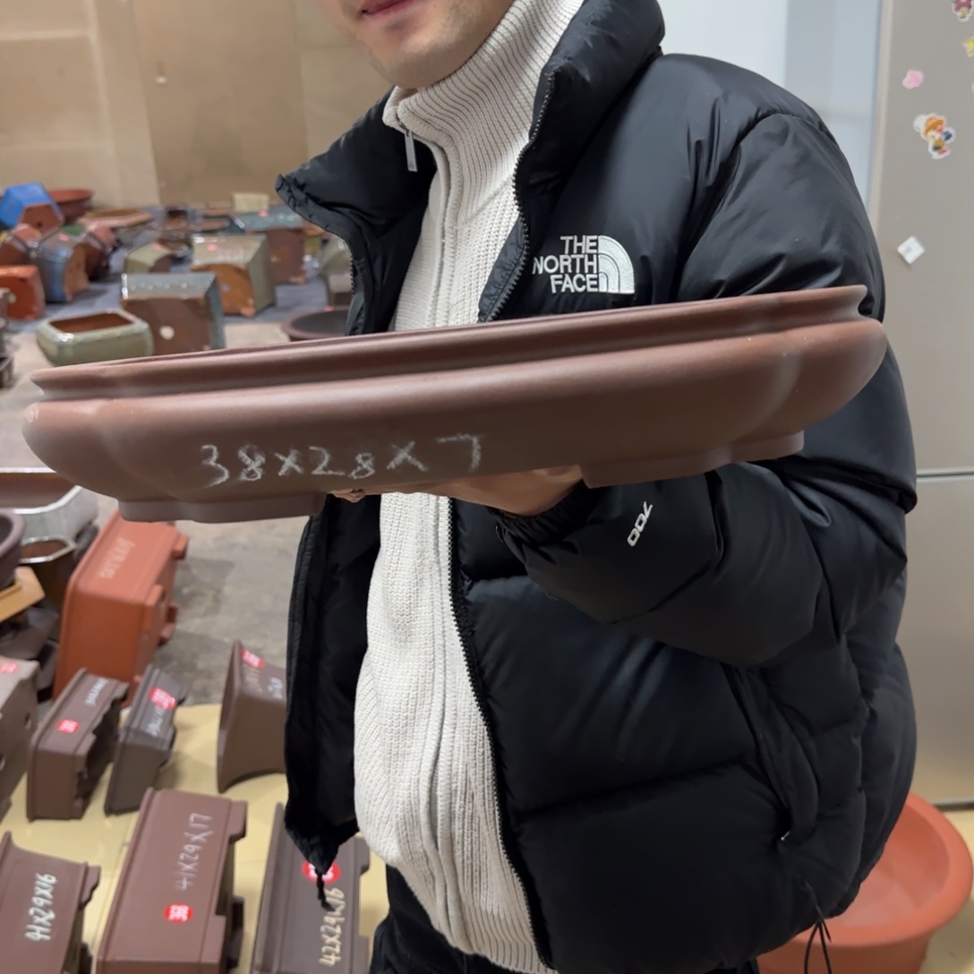 紫砂花盆呜呜呜呜
