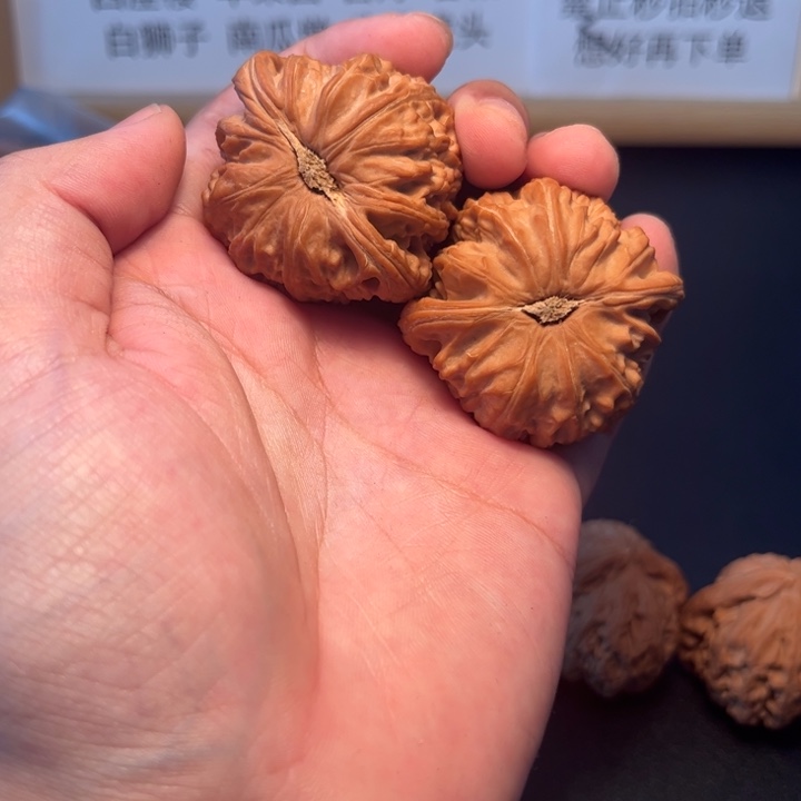 把件文玩核桃白狮子全品0008