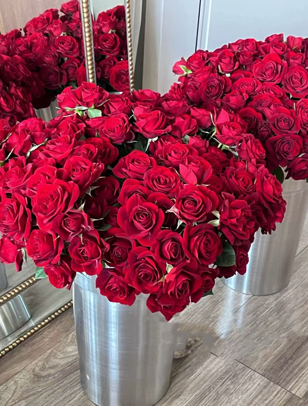 【陌上花开】20支红丝绒-多头玫瑰（把头小，养开很美~）