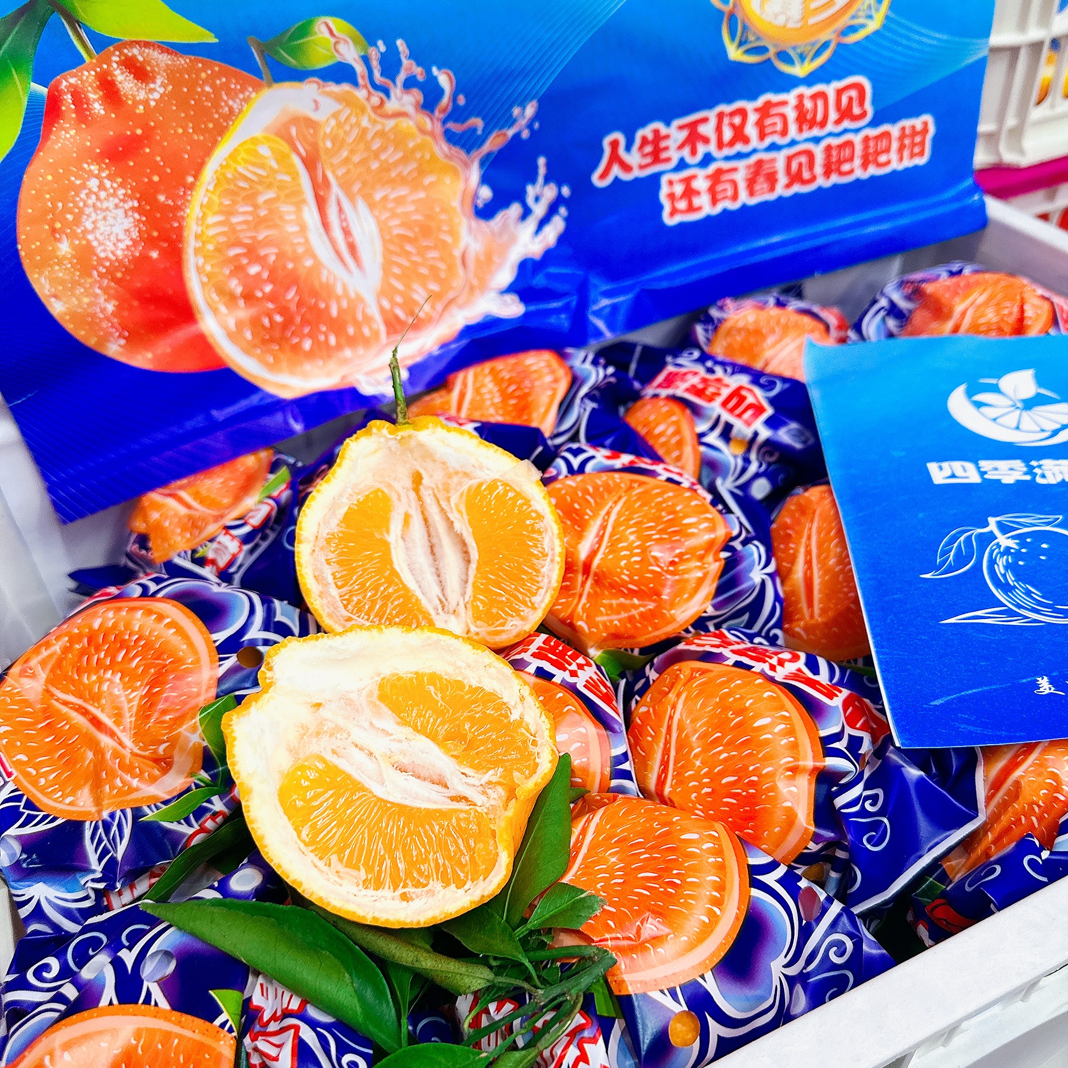 春见耙耙柑 散称3.2斤左右