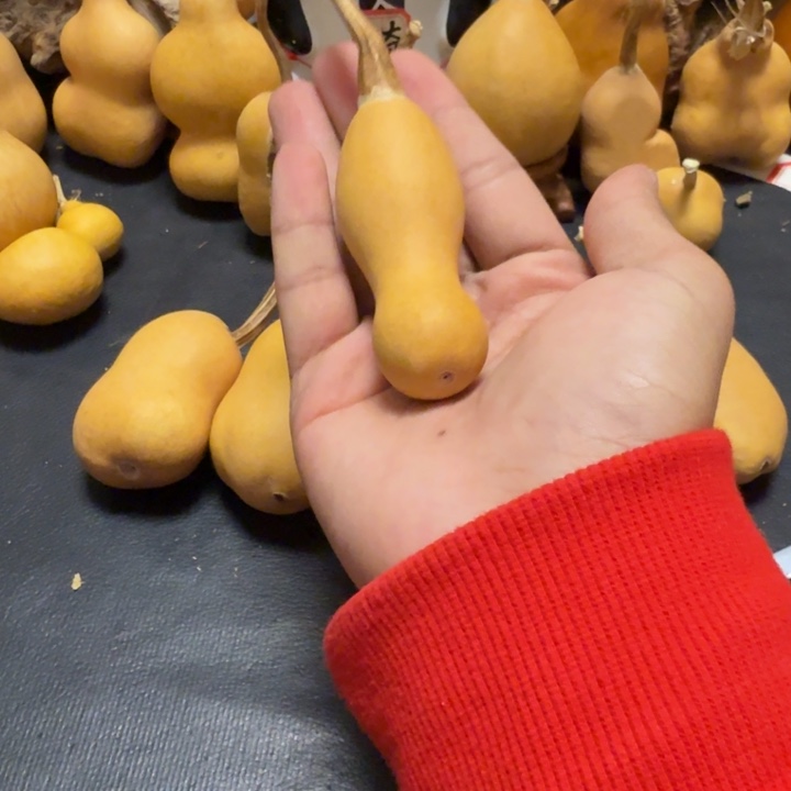 中***邢788……………………………………