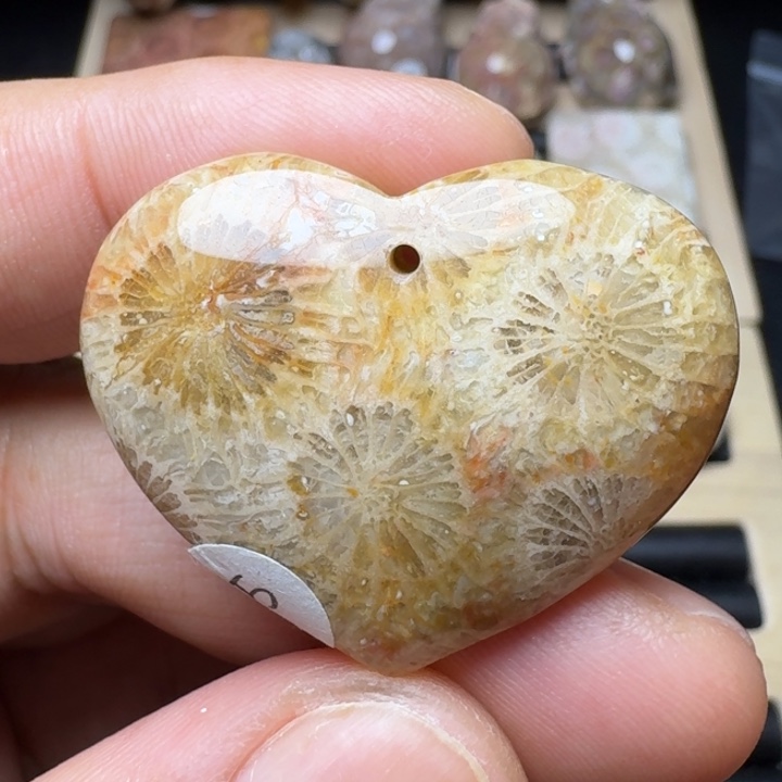 硅化珊瑚（珊瑚玉）未镶嵌纯天然色有机玉石保真色