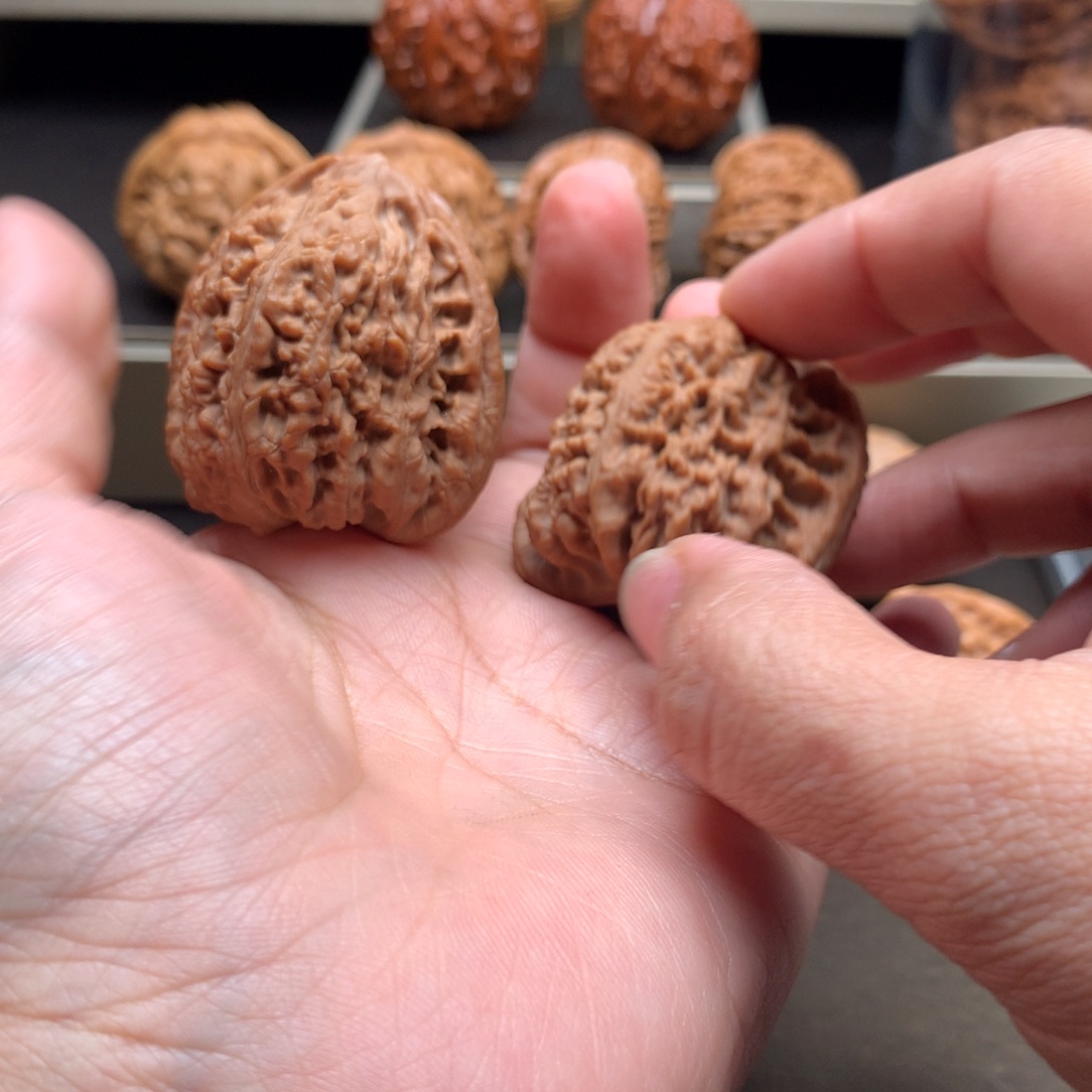 明***月木质类南疆石核桃