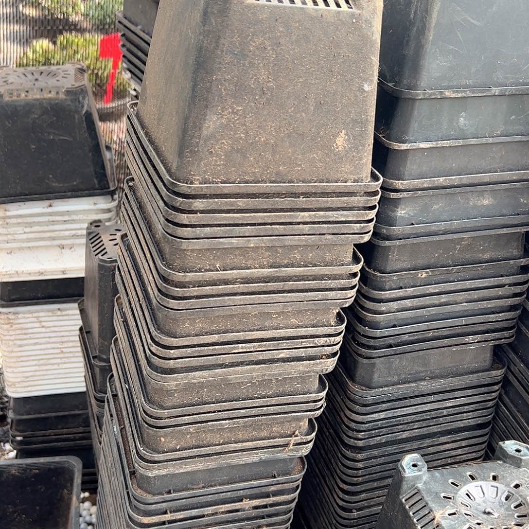 黑方140盆13.5口径10高 20个