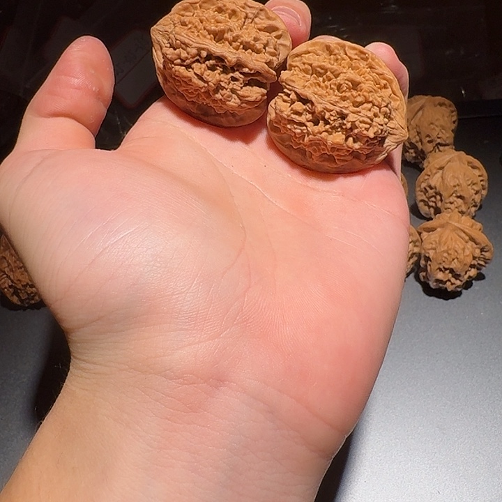 满天星狮子头满天星狮子头