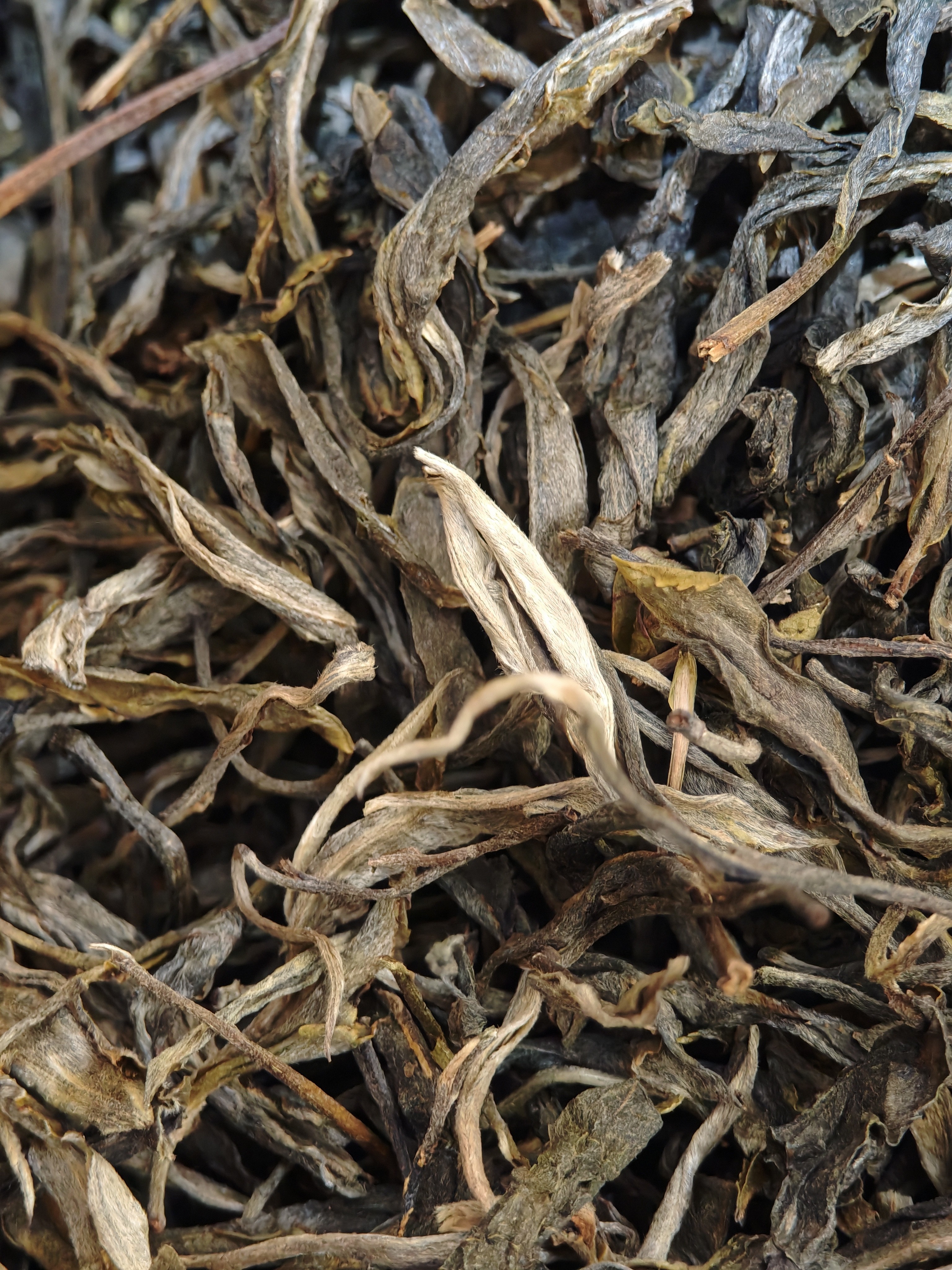 冰岛南迫古树生茶100g