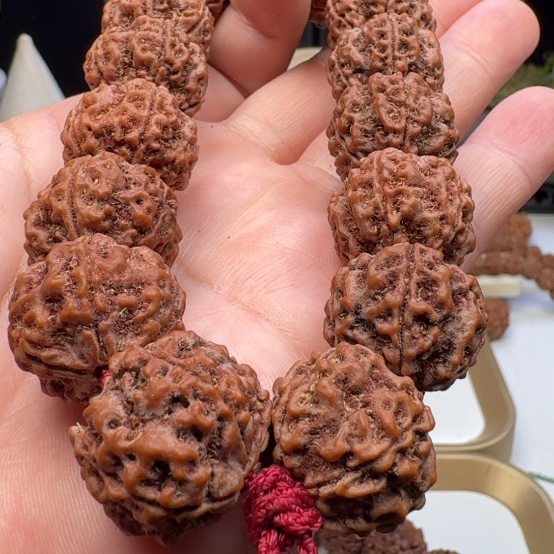 手串金刚菩提蜂王籽