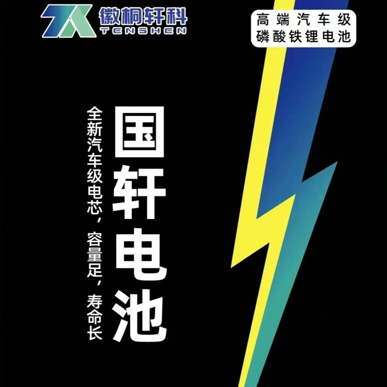 国轩60V45AH（立式）桐轩锂电全新A品电芯电动车磷酸铁电池锂电池