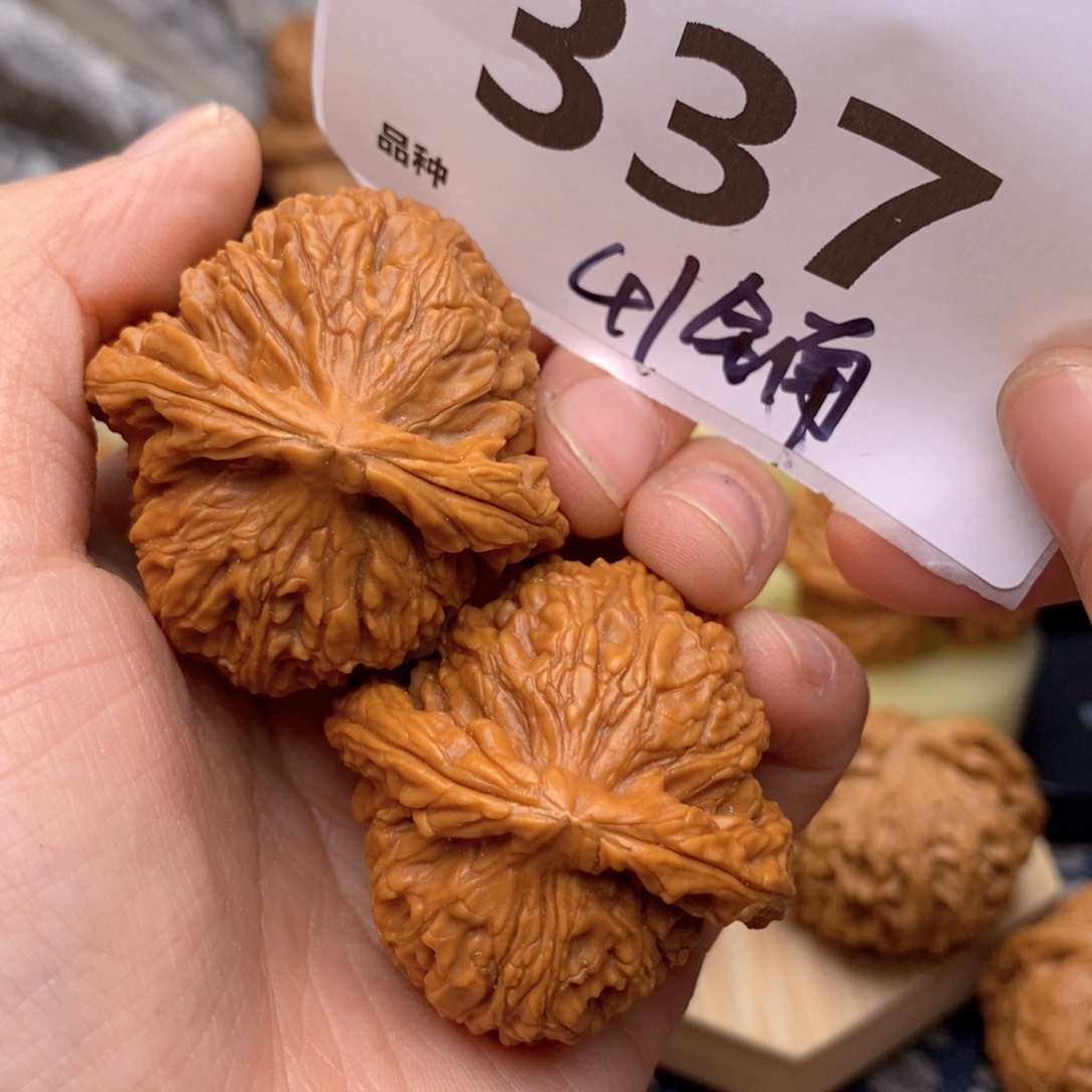 文玩核桃把件337号41全南疆