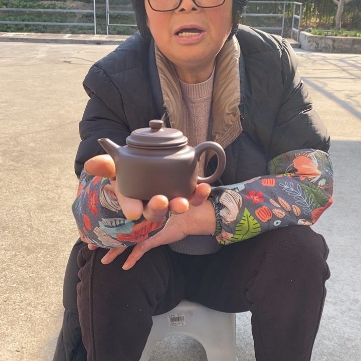 紫砂茶壶宜兴紫砂工艺美术精品