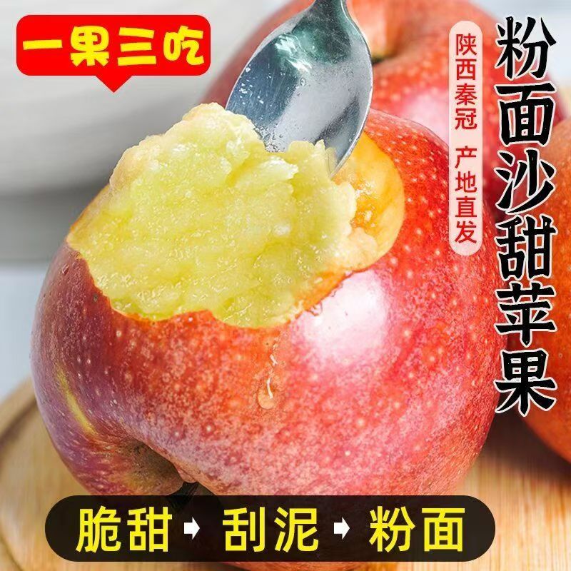 陕西秦冠粉面苹果沙甜糯口感老人孕妇宝宝辅食刮泥吃5/9/斤