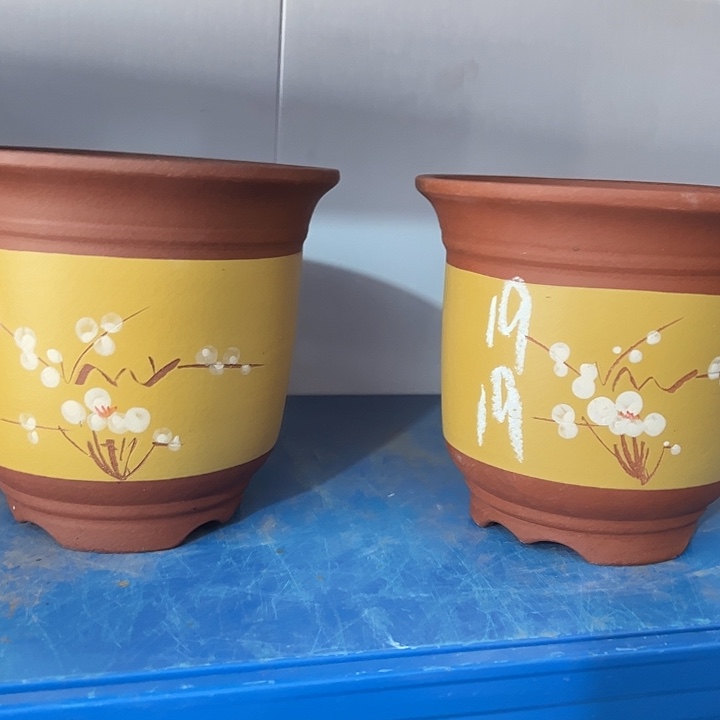 19+19平角金钟点菜花盆