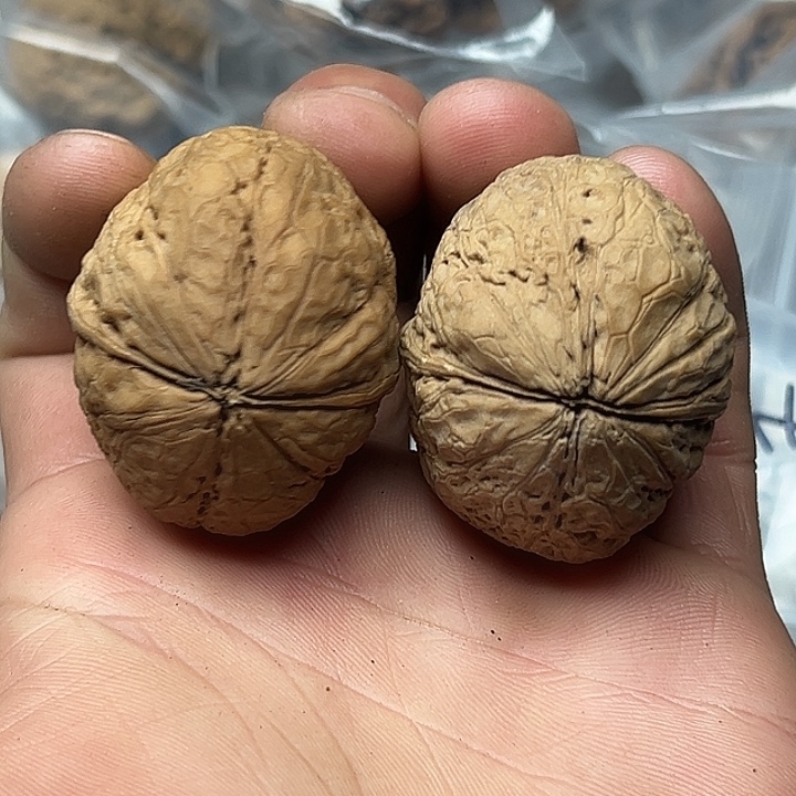 把件文玩核桃13号心型元宝42尺