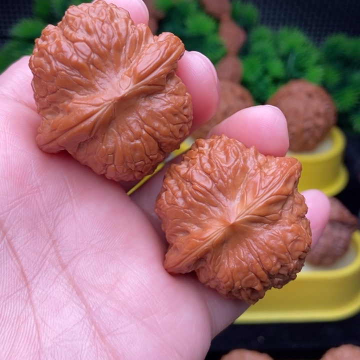 血麒麟38.9精修111111