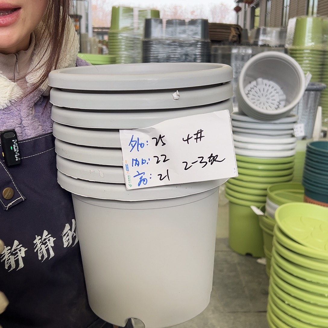 四季盆4#灰白8个无托