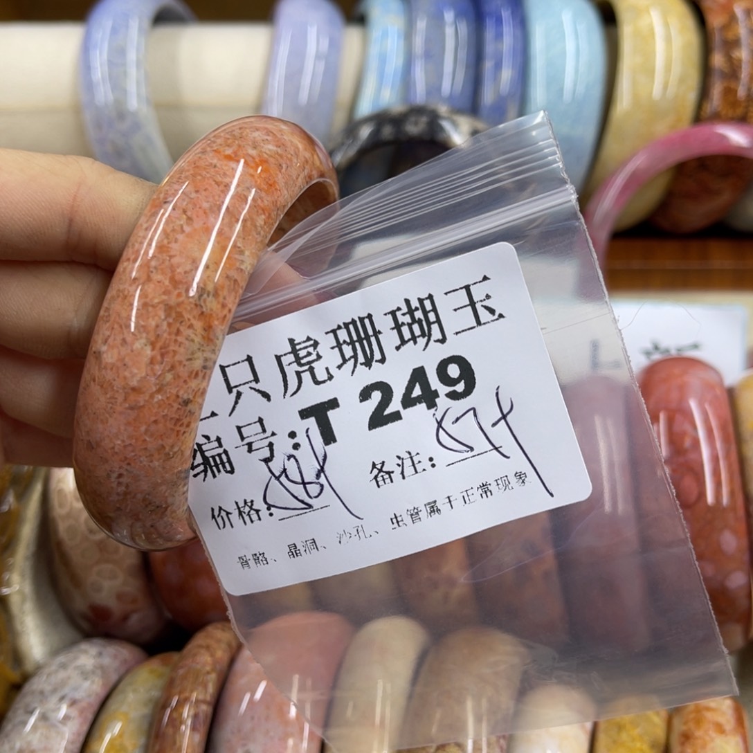 无***念硅化珊瑚（珊瑚玉）未镶嵌h