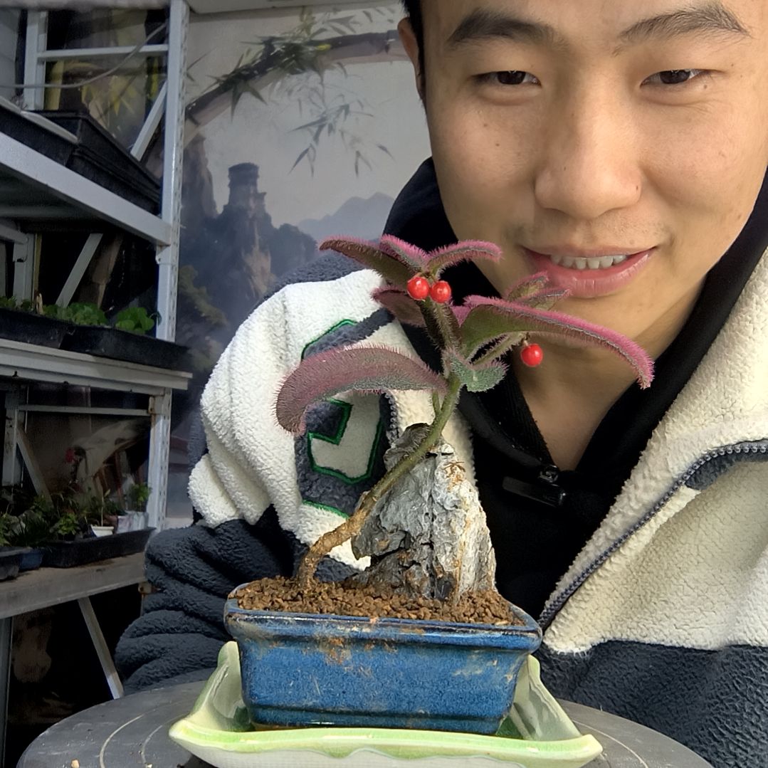 猫*?中青园艺一物一拍456