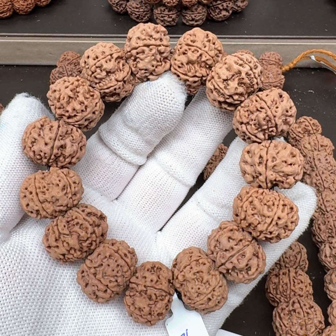 金刚菩提手串21天然纽扣六瓣